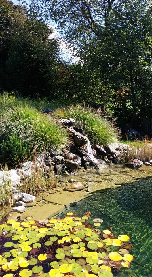 Teich mit Seerosen vom Gartenservice bei Kitzbühel